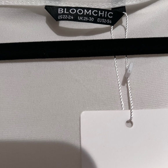 NWT BLOOMCHIC DRESS 3x Color block White Pink and Leopard print - Picture 3 of 4